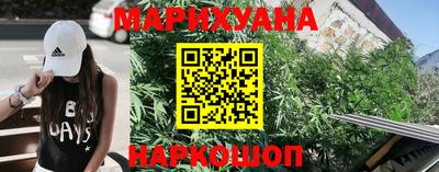 индика Анапа