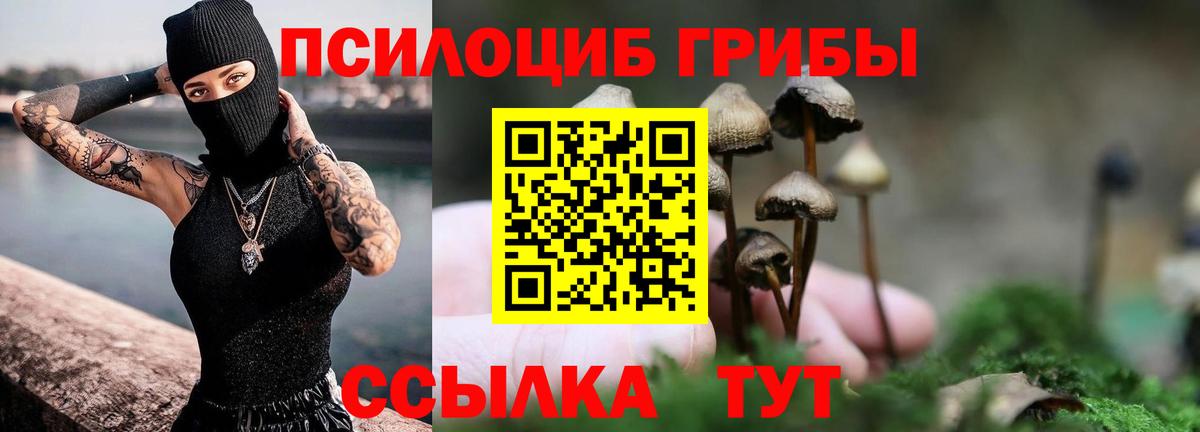 Галлюциногенные грибы мухоморы Унеча
