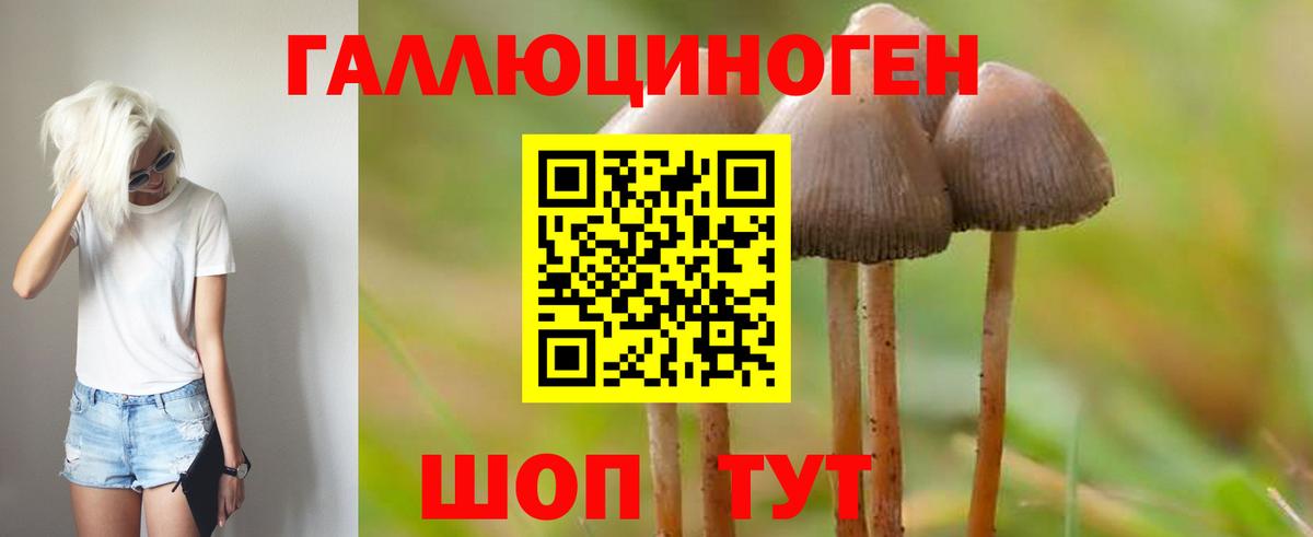 Галлюциногенные грибы Cubensis  Вход с VPN  Унеча 